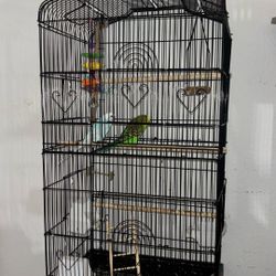 Parakeet Cage 