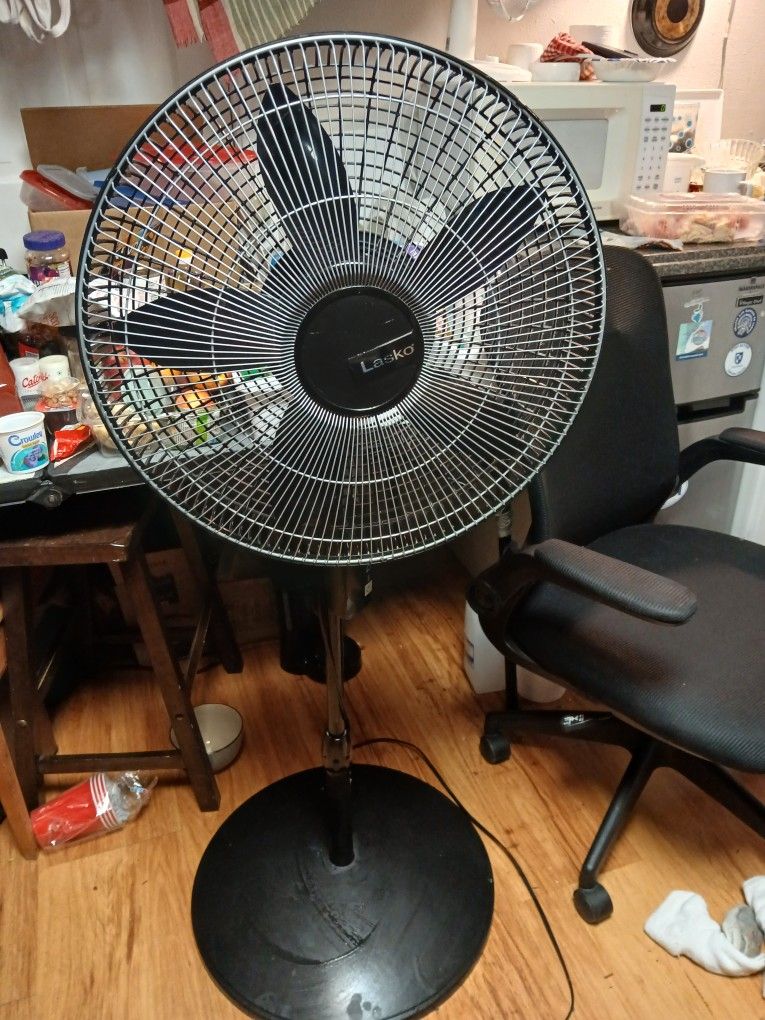 Oscillating Fan