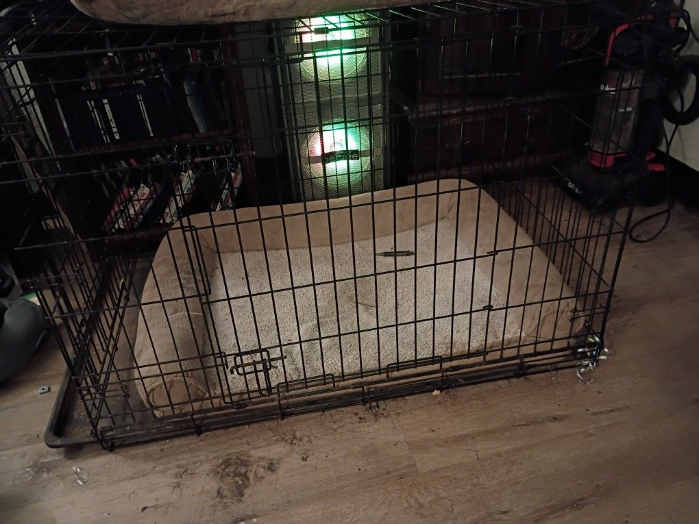 Dog Cage