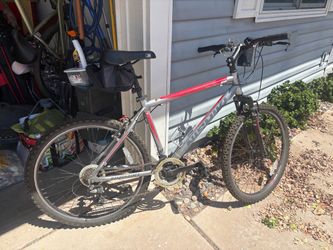 Mens Nishiki bike