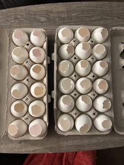 Easter Egg Shells, $.25 a dozen