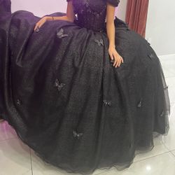 Quinceañera Dress 