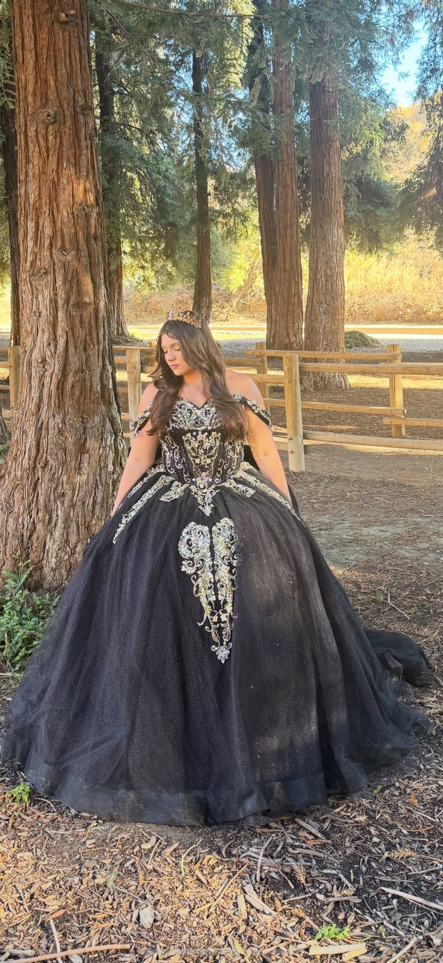 Quince Or Sweet 16 Dress
