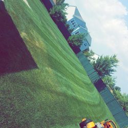 Lawn Cut 