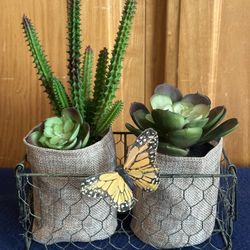 Gracie Oaks Faux Succulent in Metal Basket Set