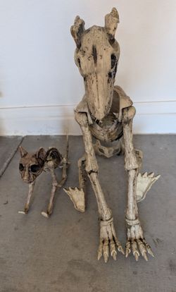 Cat and dog skeleton Halloween decorations