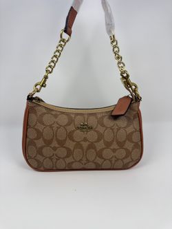 Coach Bag (Brown)
