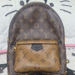 Louis Vuitton Bagpack PM