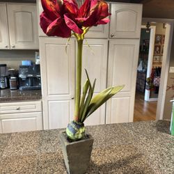 Amaryllis Christmas Faux Flower In Pot