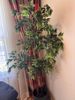 Large Artificial Ficus Tree with Pot