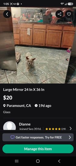 Mirror  24x36