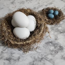 Bird Nest Decor
