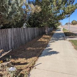 Old Fence In Good Shape