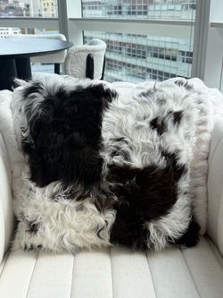 Tigrado Genuine Lambskin Pillows – Double-Sided B&W, 18”x18” (Set of 2) — $350 Each / $650 Pair