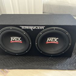Terminator Speakers And Amplifier 