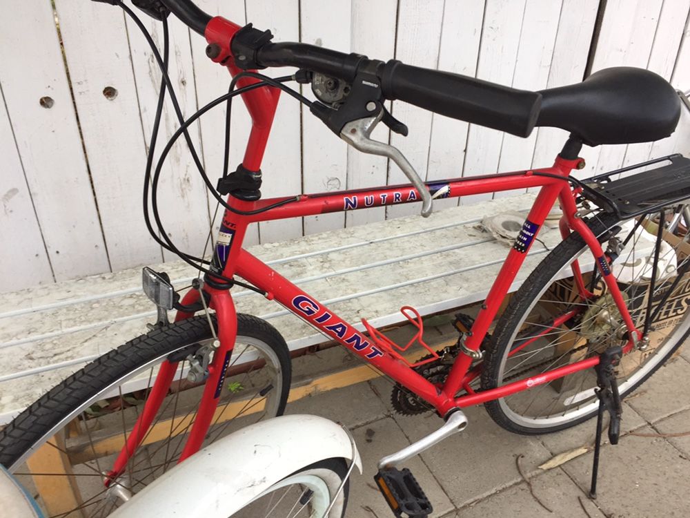 Vintage Giant Bike & Women’s Schwinn Bike