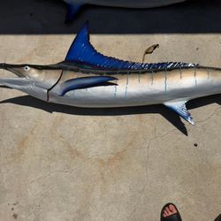 Marlin Fish