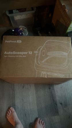Cat box automatic