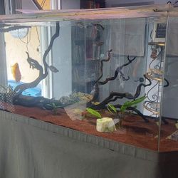 220  Gal Aquarium GLASS