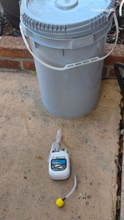 7 gallon bait bucket/Beyond braid pump