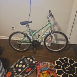 Roadmaster Adult Bike Used