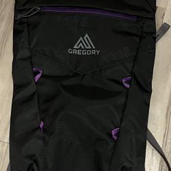 Gregory Lightweight Backpack – Gray & Purple 🎒