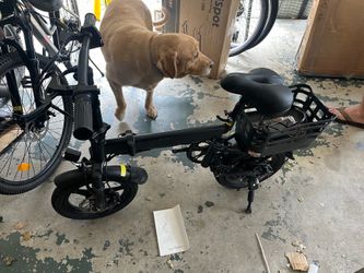 E Bike