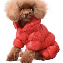 Small Dog Red Winter Coat 
