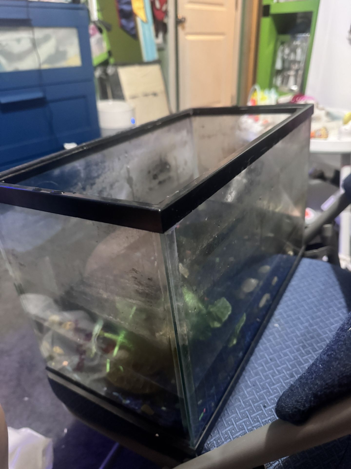 Fish Tank 5 Gallon
