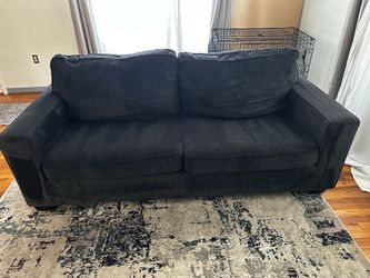 Blue pullout couch