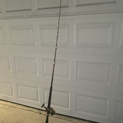 Fishing Rod