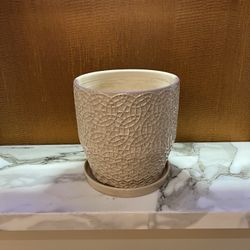Cream Pot With Attach Drip Tray Ceramic