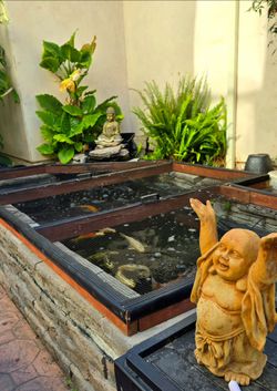 Complete Koi Pond with 13 Koi fish – Complete Established System Water Feature – $2,200 OBO