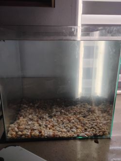 Aquarium