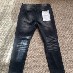 Straight Fit Purple Jeans