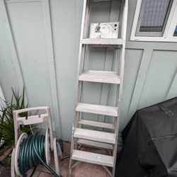 6ft Ladder