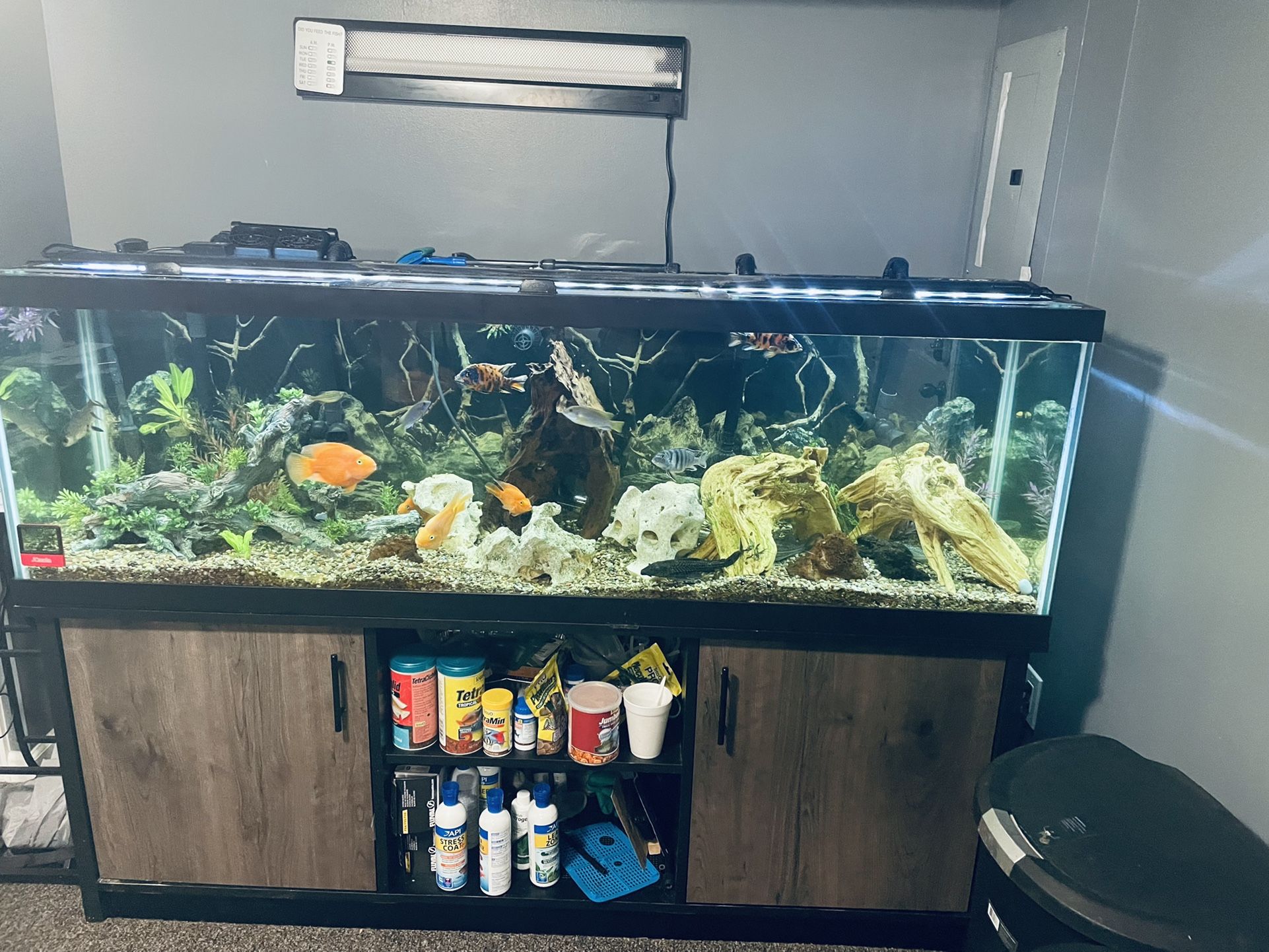 125 Gallon tank Fresh Water for Sale in Philadelphia PA OfferUp