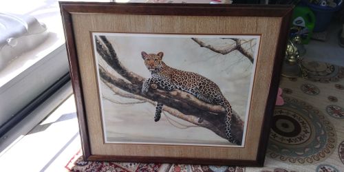 Leopard Picture 35.5 Wide × 30 High