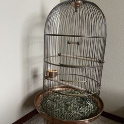 Bird Cage 