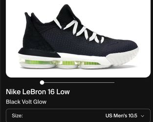 LeBron 13 shoe