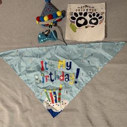 Cat/dog birthday suit