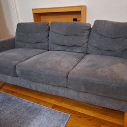 Fabric Couch like new ($100)