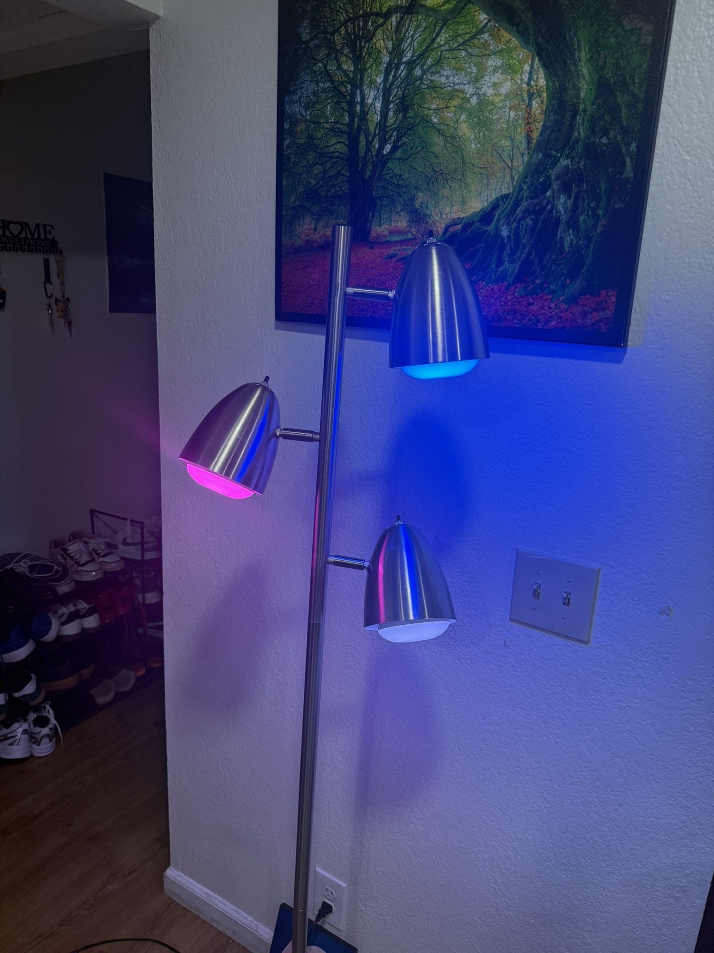 Floor Lamp With Smart Lights 