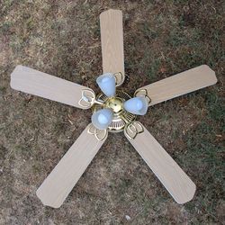 Ceiling Fan