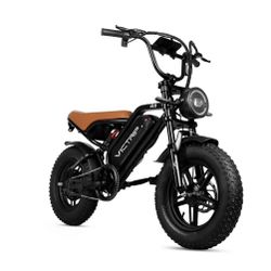 NEW in box VICTRIP R6 Off Road Electric Bike ebike BLACK 