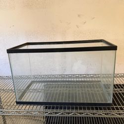 10 gallon aquarium