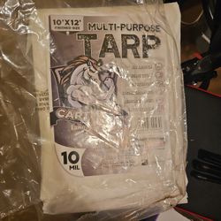 Tarp