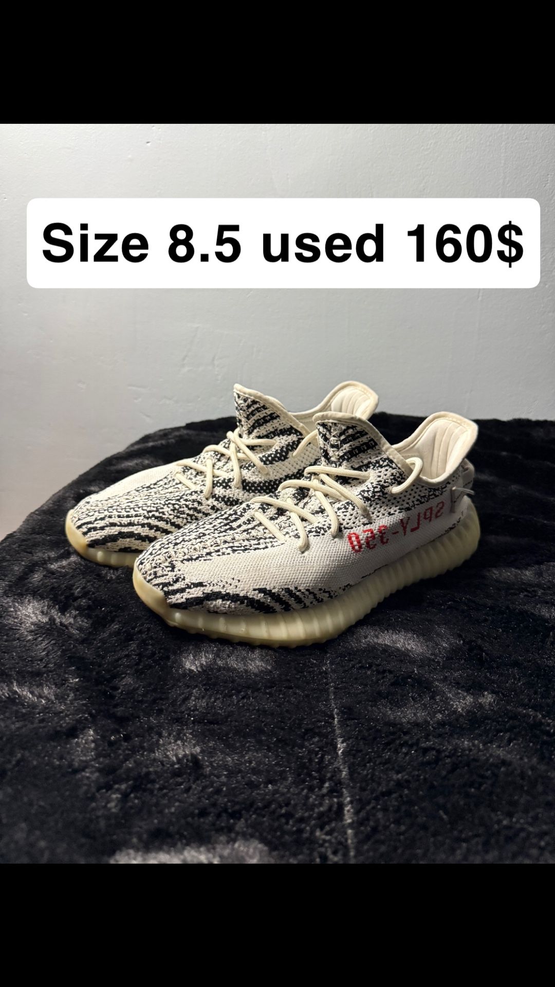 Yeezy Zebra Size 8.5