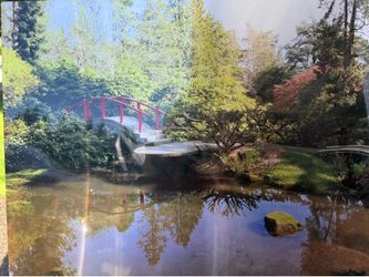 Beautiful Northwest picture