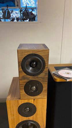 Custom stereo surround sound speakers